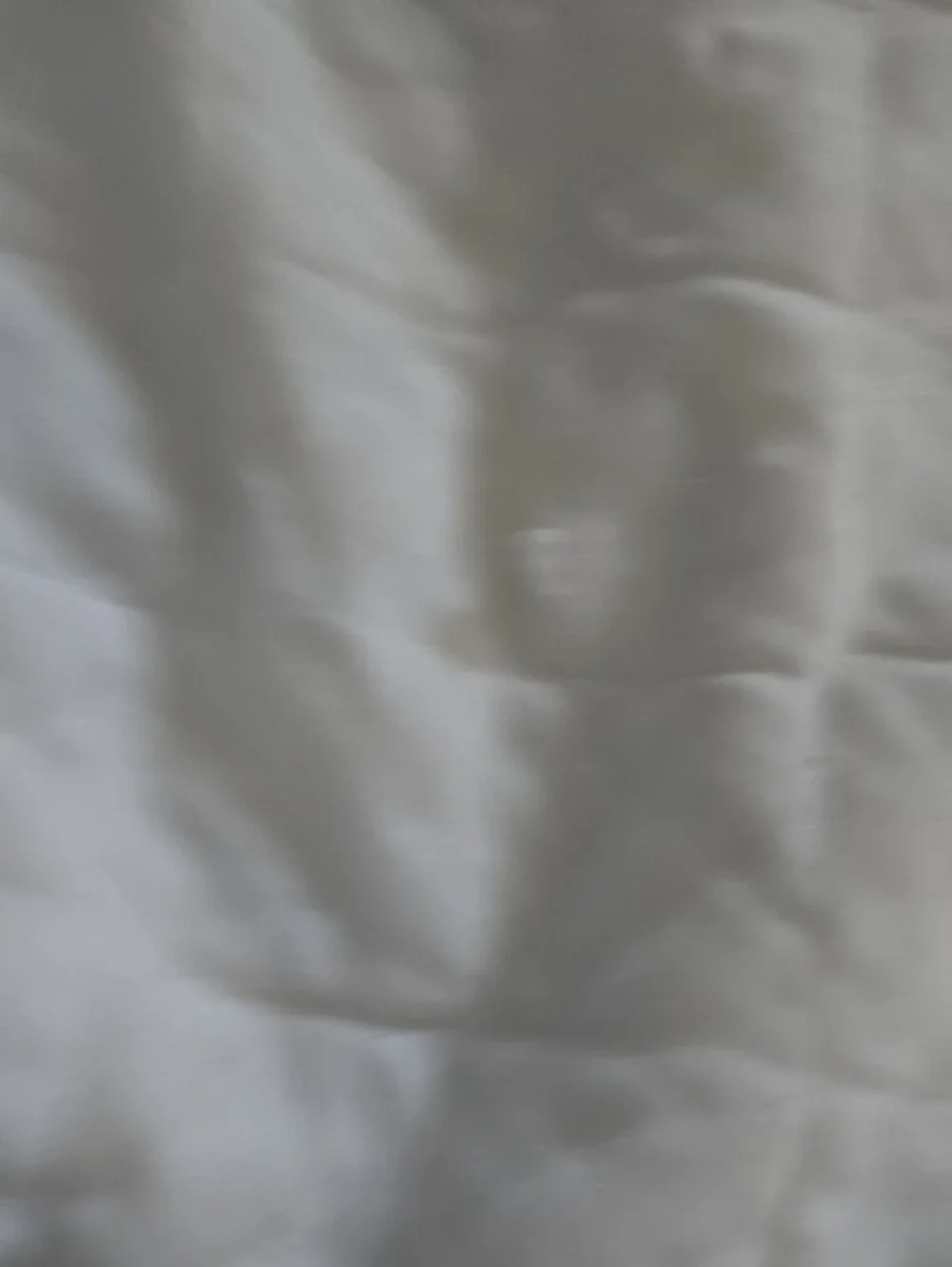 Classic Blue and White Quilted Bedspread